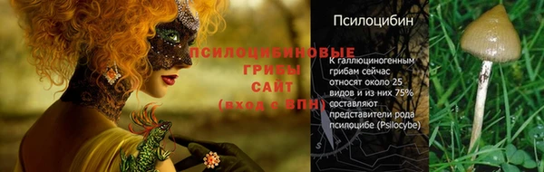 прущая мука Арсеньев