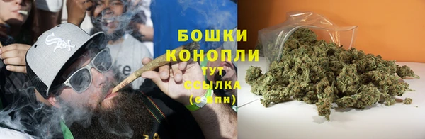 прущая мука Арсеньев