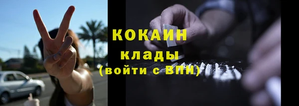 прущая мука Арсеньев