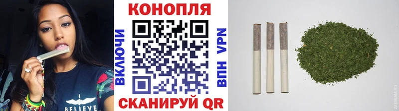 Бошки марихуана OG Kush  Зубцов 